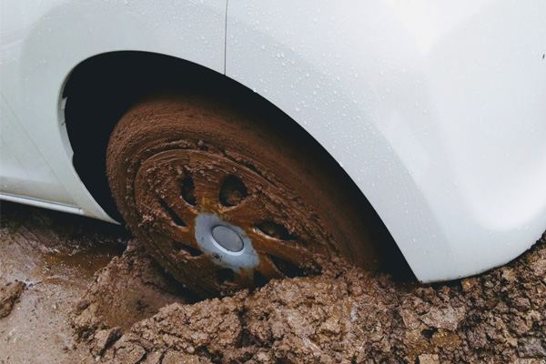 安全確保・点検・お見積り